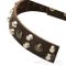Bordeauxdogge Halsband Nieten & Pyramiden | Hunde Halsband