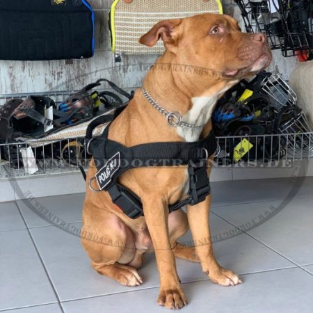 K9 Hundegeschirr aus Nylon mit Logos für Amstaff