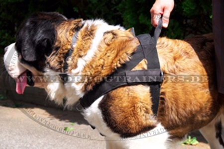 St.Bernard Nylon All Weather Harness