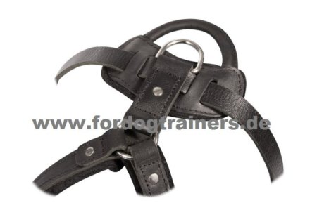 Leather Dog Harness for Schutzhund and Attack