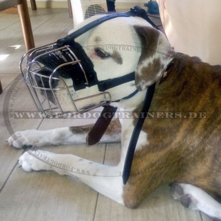 Bestseller Maulkorb aus Draht für Amstaff kaufen - Beste Hunde Maulkörbe