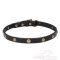 Leder Hundehalsband mit Feinem Nietendesign