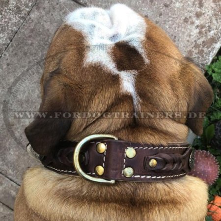 English Bulldog Nappa Padded Handmade Leather Dog Collar, Black