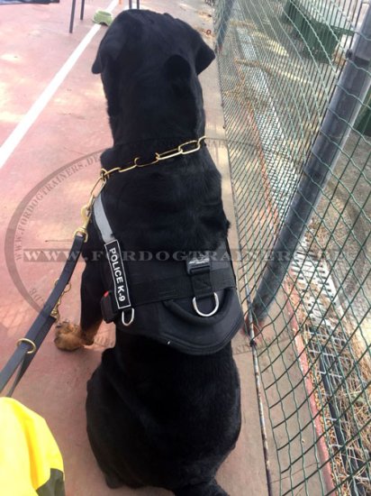 Nylon Reflective Dog Harness | Multi-purpose Dog Harness