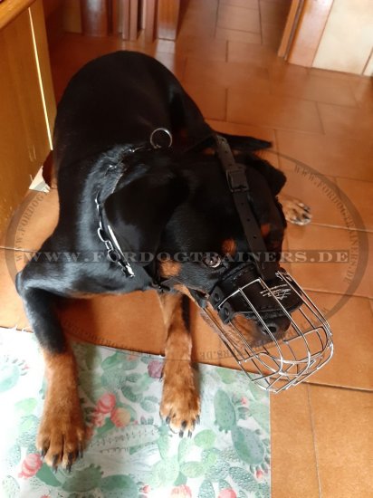 Extra Large Metall Basket Muzzle for Large Breeds buy!
