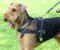 Bestseller Airedale Terrier Such-Hundegeschirr aus Leder H5