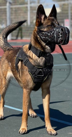Dog Muzzle of Leather for Malinois with Barbed Wire Design