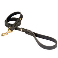 /images/19mm-Lead-leash-L3-2-UK.jpg