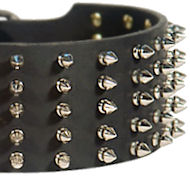 /images/3-inch-leather-spiked-dog-collar-UK-dog.jpg