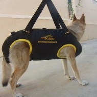 Nylon Tactical Dog Harness for Resque and Transportation of Dogs