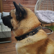 Gepolstertes Halsband mit Flechten Design für Amerikan Akita