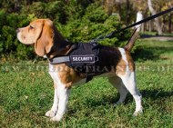 Beagle Reflektierendes Geschirr aus Nylon