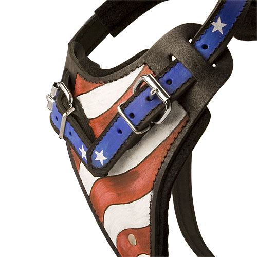 best designer custom leather Doberman harness