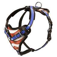 /images/American-Pride-Leder-Hundegeschirr.jpg