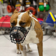 Bestseller Drahtmaulkorb gummiert für Amstaff