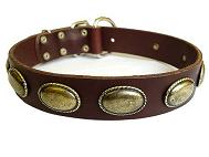 Besonders "Retro" Hundehalsband aus Leder für Deutsche Dogge