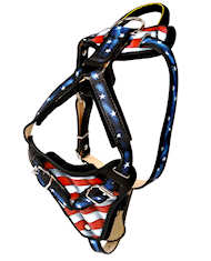 Hand painted Leather Dog Harness "American pride" - Click Image to Close