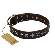 "Stars of Glory" FDT Lederhalsband mit alten versilberten Nieten