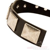 Studded Collar with Plates for Large Dogs