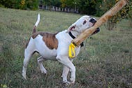 Dog Bite Pad of strong Leather with 2 Handles