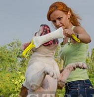 Grosse Beisswurst aus French Linen für Bulldogge