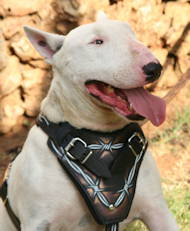 /images/Bull-Terrier-hundegeschirr-leather-design-harness-de.jpg