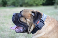 Halsband Nylon für Bullmastiff | Halsband für K9 Hunde