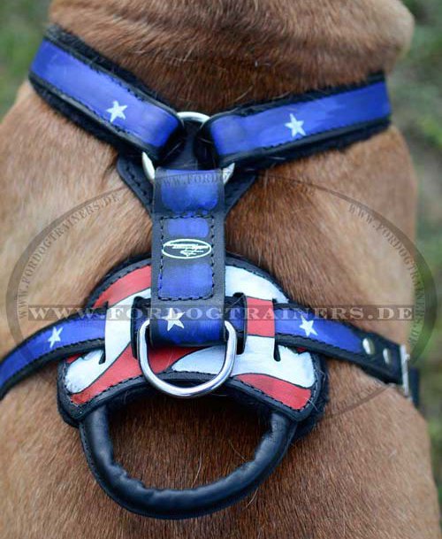 Bullmastiff Leather Harness with Handy Handle