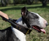 Bull Terrier agitation dog collar with handle for training