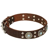 Studded Collar exclusive