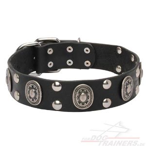 "Gothik Style" Design Studded Collar - Click Image to Close