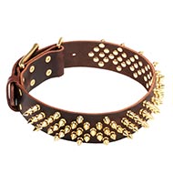 Studded collar with handset brass studs