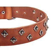 Leather dog collar with nickel studs