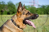 Deutscher Schäferhund Nylon Halsband mit Nieten-Platten