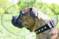 Deutscher Boxer Nieten Hundehalsband mit Spikes