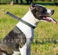 Geflochtenes Zughalsband aus Leder für Pitbull Terrier Geflochtenes Zughalsband aus Leder für Pitbull Terrier