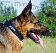 Leder Halsband mit ID-Tag
für Deutschen
Schäferhund