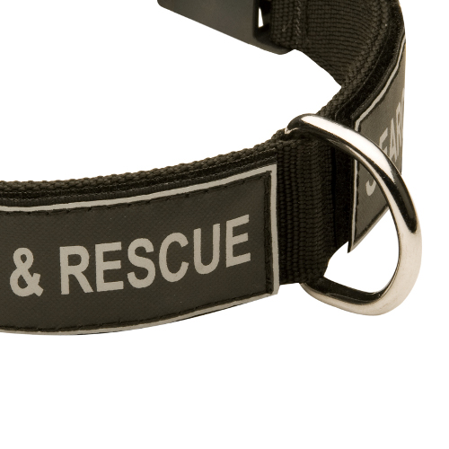 Dog Collar with Patches