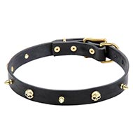 Halsband mit Messingspikes und Schädel