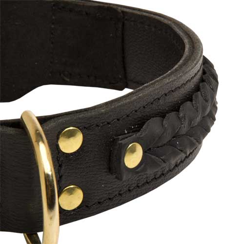 Braided leather dog collar extra wide