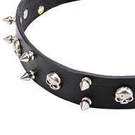 Leather dog collar with spikes and skulls