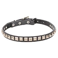 Fine Leather Dog Collar with Design "King Elegance"