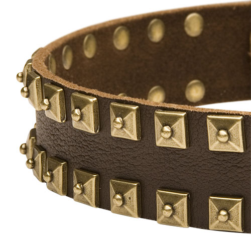 best Leather dog collar with spikes and pyramids for your dog