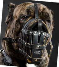 Hundemaulkorb Leder für Cane Corso