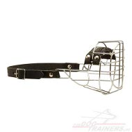 Stable Cocker Spaniel Wire Dog Muzzle