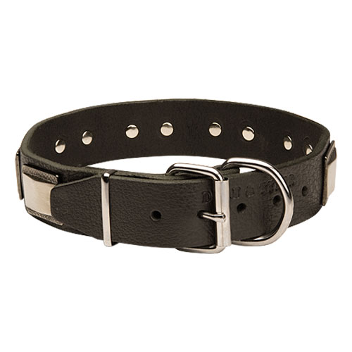 Durable Leather Collar for Doberman 