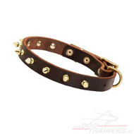 Nieten Halsband aus Leder mit Goldfarbigen Spikes 19 mm