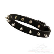 Designer Studded Dog Collar with Silver Steel Spikes buy