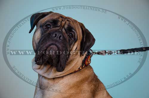 Bullmastiff Exklusiv Bemaltes Lederhalsband, Flamme Stil 