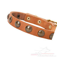 /images/Design-Hundehalsband-Leder-mit-Messing-Kreisen-25mm.jpg